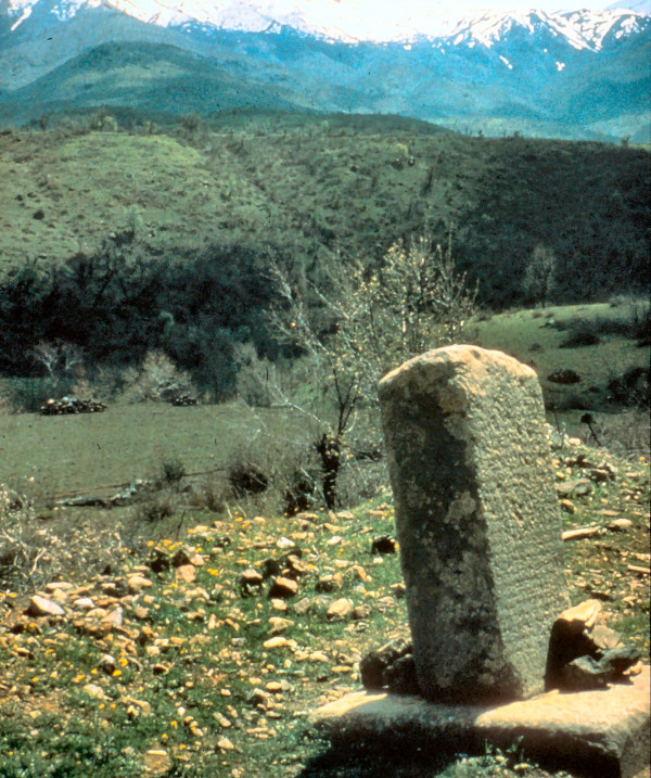 Rusa_Son of Sarduri_II_Topzawa_stele.jpg